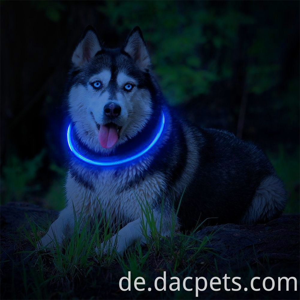 USB wiederaufladbarer geführter Kragen USB Rechargeable Led Collar